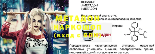 шишки Елизово