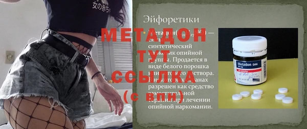 дживик Ельня