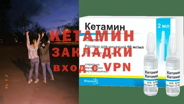 дживик Ельня