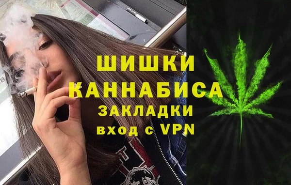 шишки Елизово
