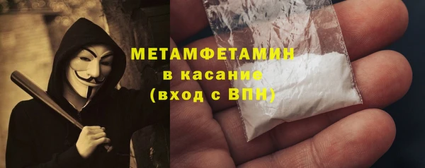 дживик Ельня