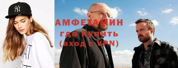 дживик Ельня