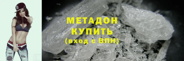 дживик Ельня