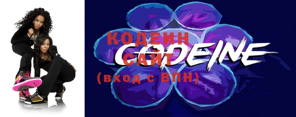 дживик Ельня