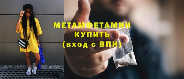 дживик Ельня