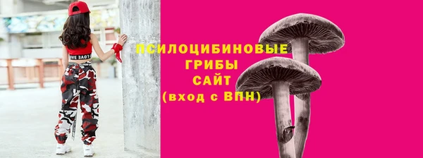 шишки Елизово