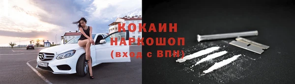 дживик Ельня