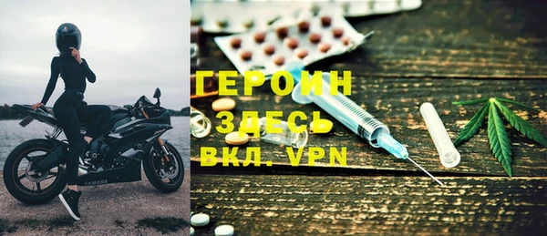 дживик Ельня