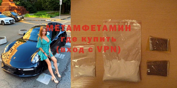 дживик Ельня