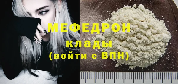 дживик Ельня