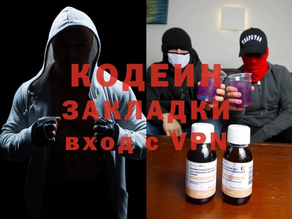 шишки Елизово
