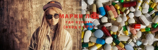 дживик Ельня