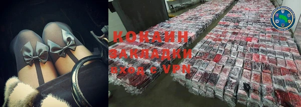 дживик Ельня