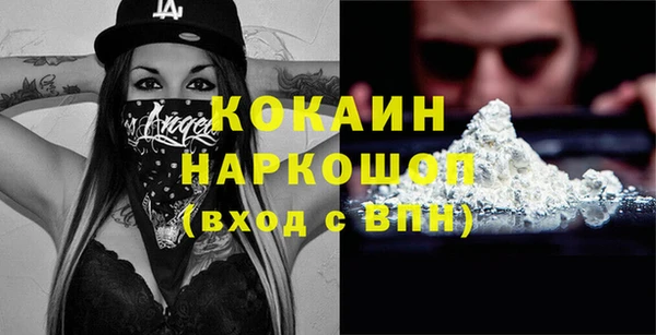 дживик Ельня
