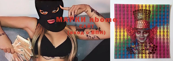 шишки Елизово
