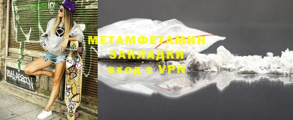 дживик Ельня