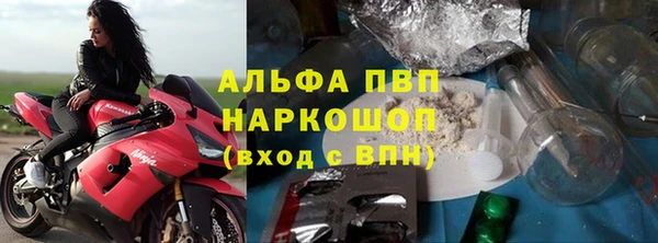 дживик Ельня