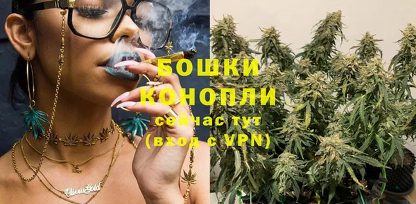 шишки Елизово