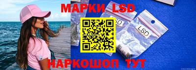 молекула духа Берёзовский