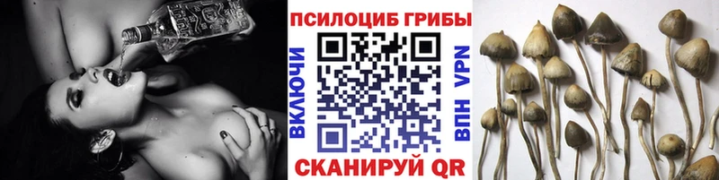 Галлюциногенные грибы ЛСД MEGA ONION Екатеринбург магазин продажи наркотиков