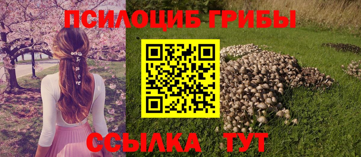 Галлюциногенные грибы Psilocybe  Вход с VPN  Екатеринбург 