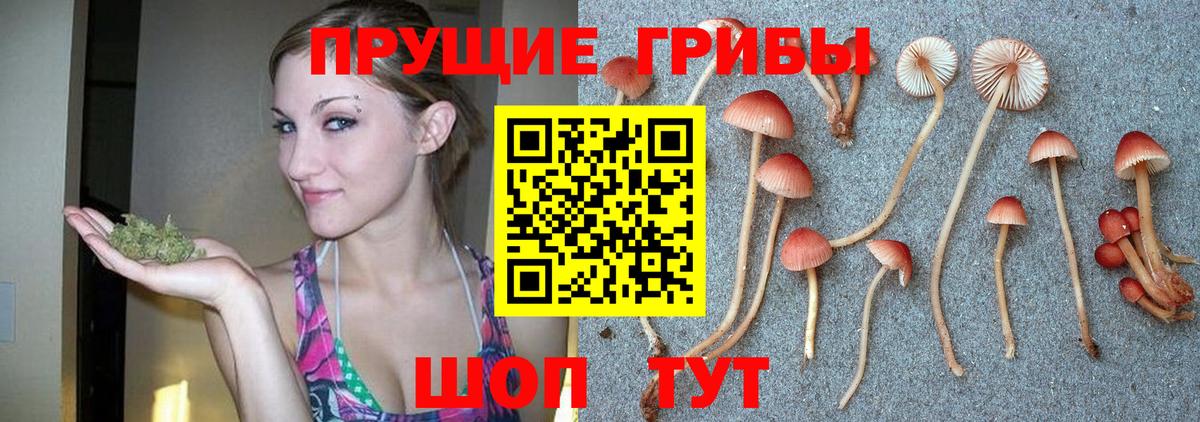 Галлюциногенные грибы прущие грибы  Екатеринбург  Галлюциногенные грибы MAGIC MUSHROOMS 