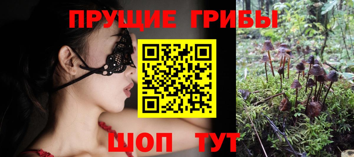 Галлюциногенные грибы GOLDEN TEACHER Екатеринбург